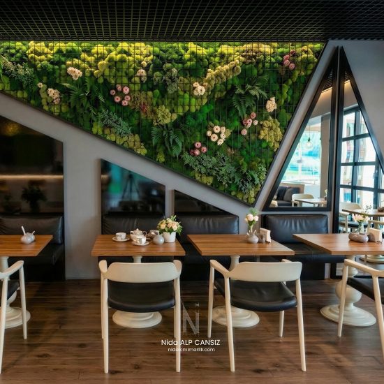 The Shaula Cafe Ic Mekan Tasarimi